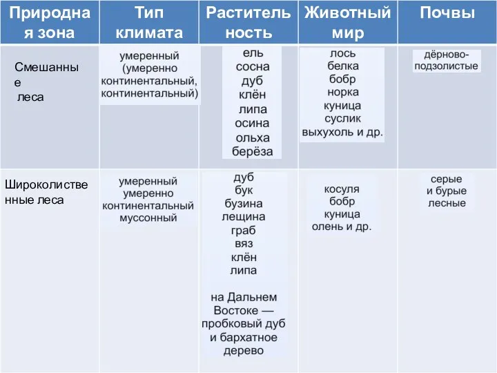 Смешанные леса Широколиственные леса