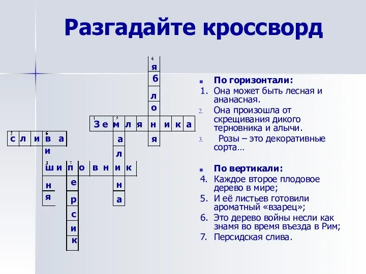 Разгадайте кроссворд По горизонтали: 1. Она может быть лесная и ананасная. Она