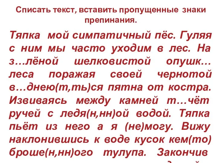 Списать текст, вставить пропущенные знаки препинания. Тяпка мой симпатичный пёс. Гуляя с