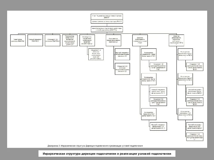 Иерархическая структура дирекции подключения и реализации условий подключения