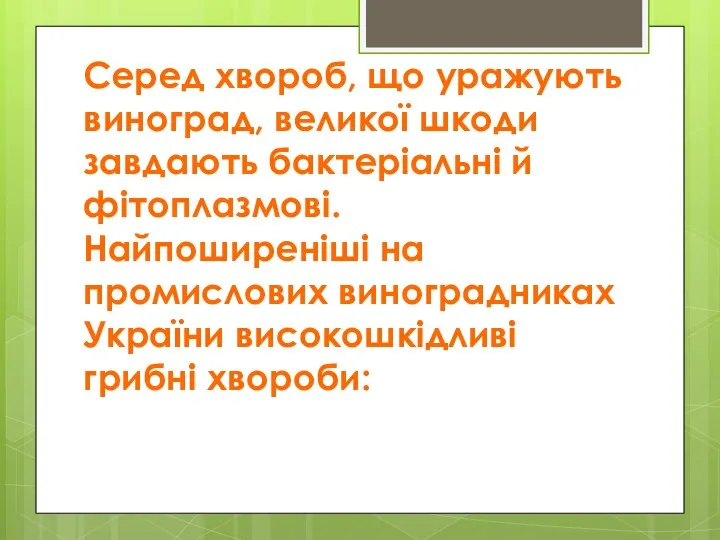 Серед хвороб, що уражують виноград, великої шкоди завдають бактеріальні й фітоплазмові. Найпоширеніші