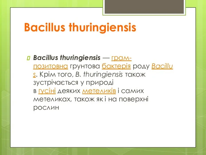 Bacillus thuringiensis Bacillus thuringiensis — грам-позитовна грунтова бактерія роду Bacillus. Крім того,