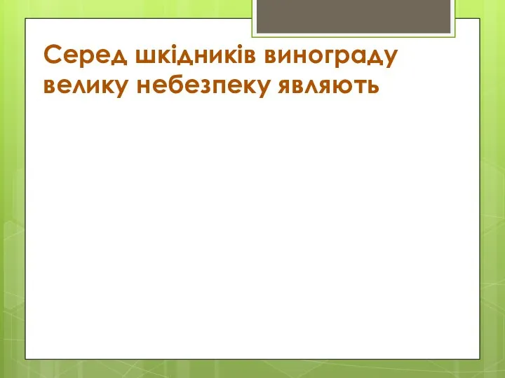 Серед шкідників винограду велику небезпеку являють