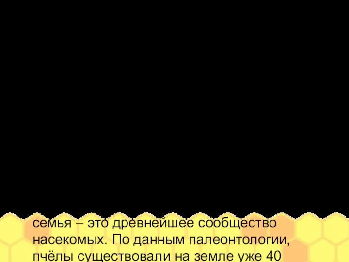 Терморегуляция Пчелиную семью природа снабдила совершенным механизмом терморегуляции. Благодаря этому пчёлы выживают