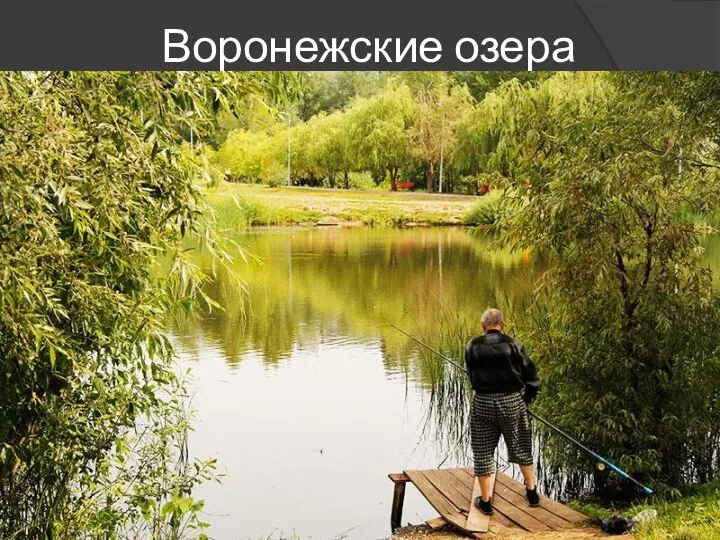 Воронежские озера