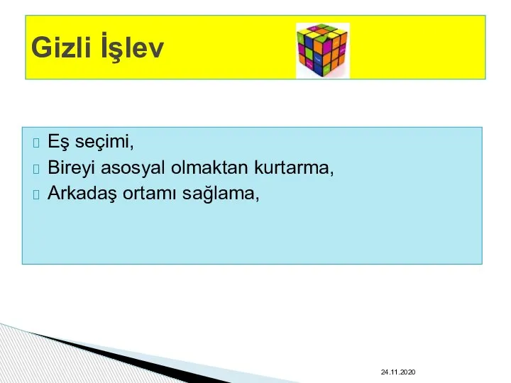 Eş seçimi, Bireyi asosyal olmaktan kurtarma, Arkadaş ortamı sağlama, Gizli İşlev 24.11.2020