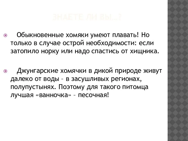 ЗНАЕТЕ ЛИ ВЫ…? Обыкновенные хомяки умеют плавать! Но только в случае острой