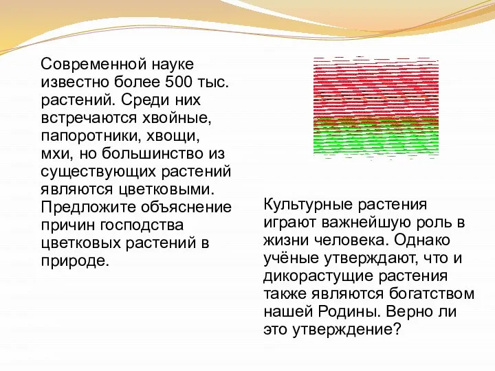 Культурные растения играют важнейшую роль в жизни человека. Однако учёные утверждают, что