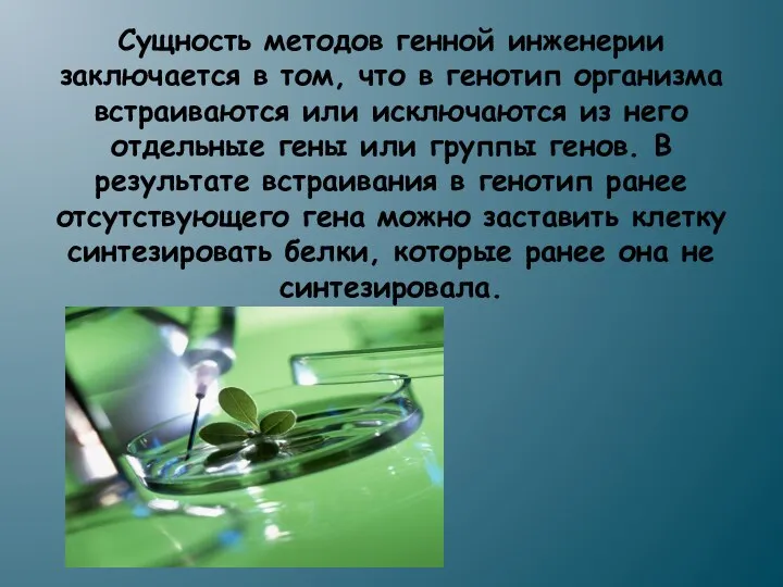 Сущность методов генной инженерии заключается в том, что в генотип организма встраиваются