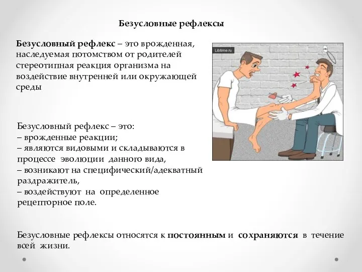 Безусловные рефлексы Безусловный рефлекс – это врожденная, наследуемая потомством от родителей стереотипная