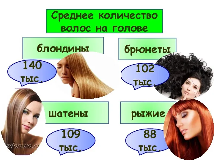 Среднее количество волос на голове блондины брюнеты шатены рыжие 109 тыс. 88