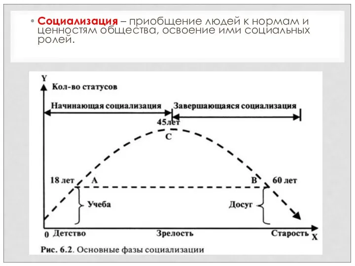 Социализация – приобщение людей к нормам и ценностям общества, освоение ими социальных ролей.