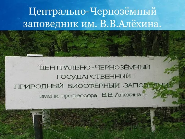 Центрально-Чернозёмный заповедник им. В.В.Алёхина.