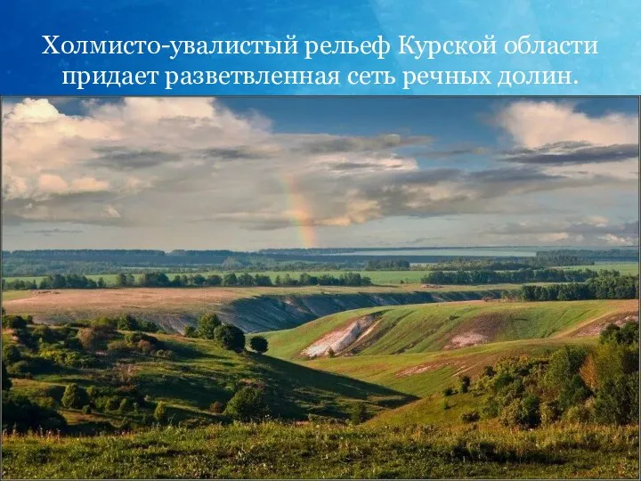 Холмисто-увалистый рельеф Курской области придает разветвленная сеть речных долин.