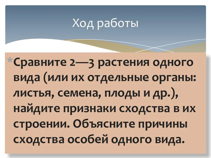 Сравните 2—3 растения одного вида (или их отдельные орга­ны: листья, семена, плоды