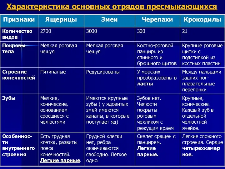 Характеристика основных отрядов пресмыкающихся