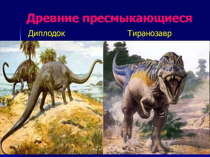 Древние пресмыкающиеся Диплодок Тиранозавр