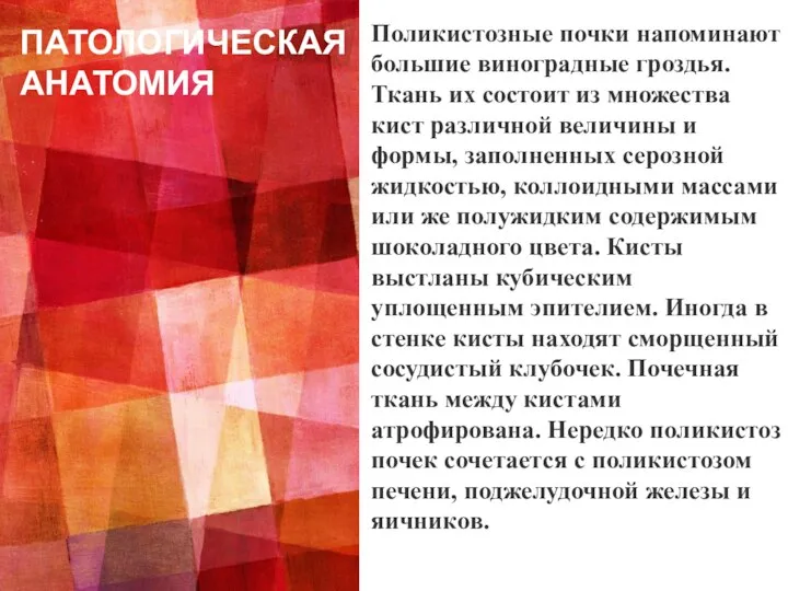 ПАТОЛОГИЧЕСКАЯ АНАТОМИЯ Поликистозные почки напоминают большие виноградные гроздья. Ткань их состоит из