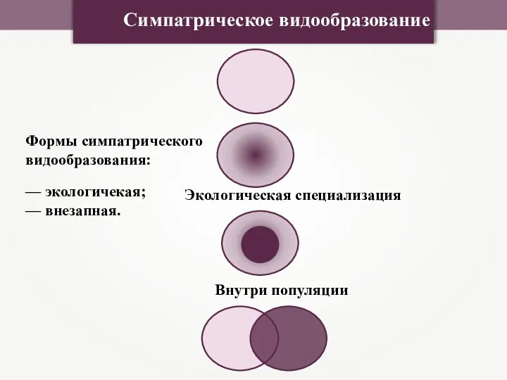 Симпатрическое видообразование Экологическая специализация Внутри популяции Формы симпатрического видообразования: — экологичекая; — внезапная.