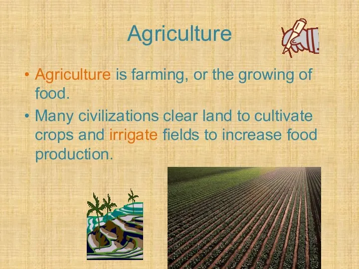 Agriculture Agriculture is farming, or the growing of food. Many civilizations clear