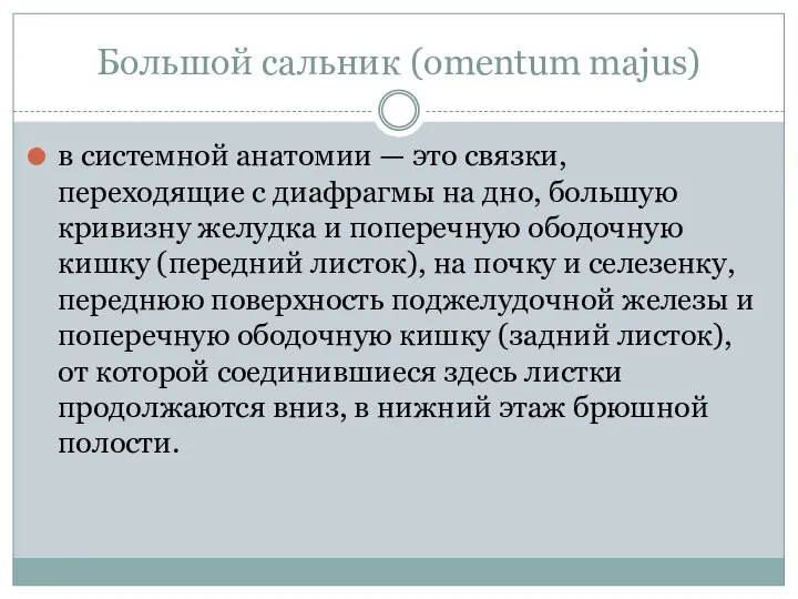 Большой сальник (omentum majus) в системной анатомии — это связки, переходящие с