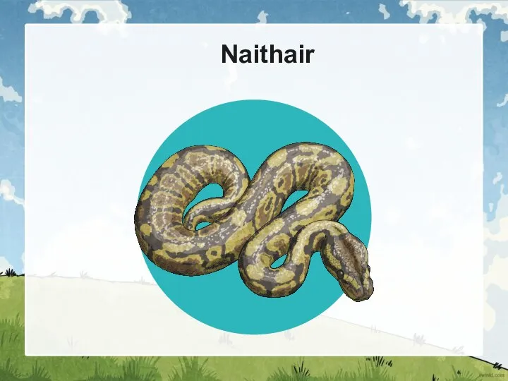 Naithair