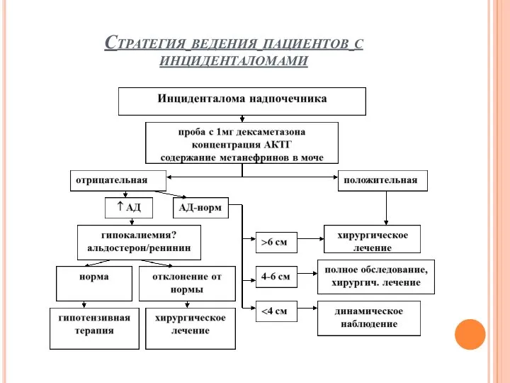 Стратегия ведения пациентов с инциденталомами