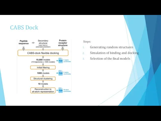 CABS Dock Steps: Generating random structures Simulation of binding and docking Selection of the final models