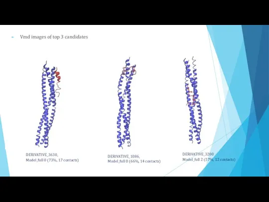 Vmd images of top 3 candidates DERIVATIVE_3630, Model_full 0 (73%, 17 contacts)