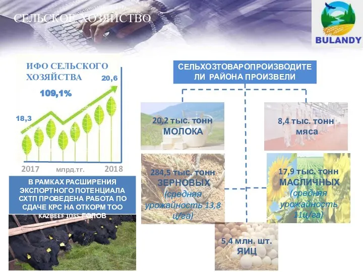 СЕЛЬСКОЕ ХОЗЯЙСТВО ИФО СЕЛЬСКОГО ХОЗЯЙСТВА 2017 млрд.тг. 2018 18,3 109,1% 20,6 СЕЛЬХОЗТОВАРОПРОИЗВОДИТЕЛИ