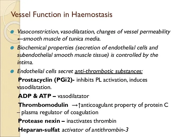 Vessel Function in Haemostasis Vasoconstriction, vasodilatation, changes of vessel permeability ←smooth muscle