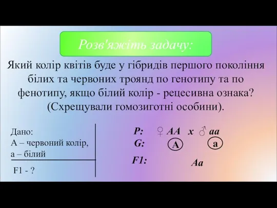 Який колір квітів буде у гібридів першого покоління білих та червоних троянд