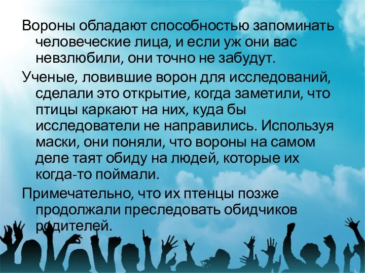 Вороны обладают способностью запоминать человеческие лица, и если уж они вас невзлюбили,