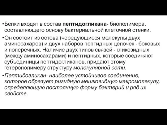 Белки входят в состав пептидогликана- биополимера, составляющего основу бактериальной клеточной стенки. Он