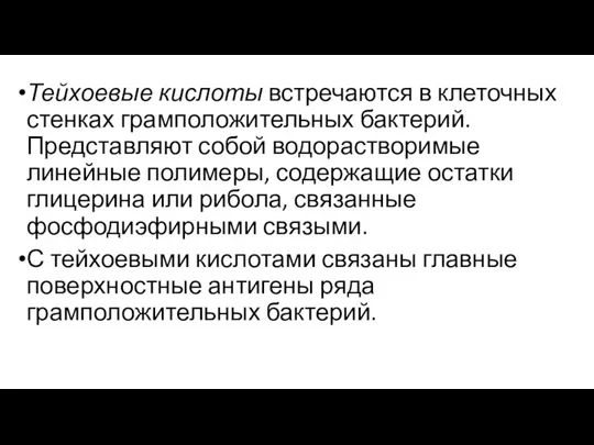 Тейхоевые кислоты встречаются в клеточных стенках грамположительных бактерий. Представляют собой водорастворимые линейные