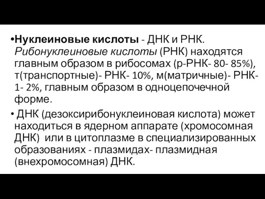 Нуклеиновые кислоты - ДНК и РНК. Рибонуклеиновые кислоты (РНК) находятся главным образом