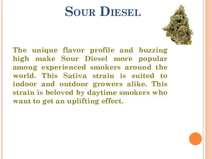 Sour Diesel The unique flavor profile and buzzing high make Sour Diesel