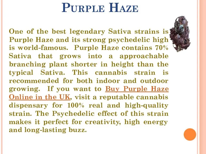 Purple Haze One of the best legendary Sativa strains is Purple Haze