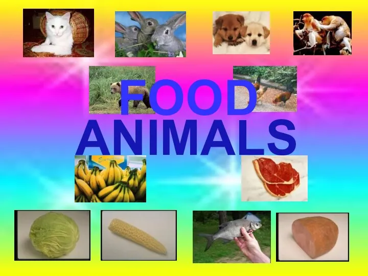 FOOD ANIMALS