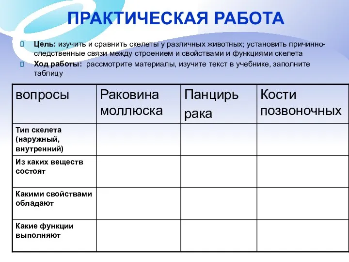 ПРАКТИЧЕСКАЯ РАБОТА Цель: изучить и сравнить скелеты у различных животных; установить причинно-следственные