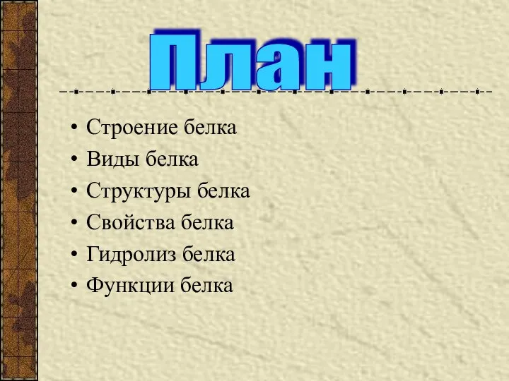 Строение белка Виды белка Структуры белка Свойства белка Гидролиз белка Функции белка План