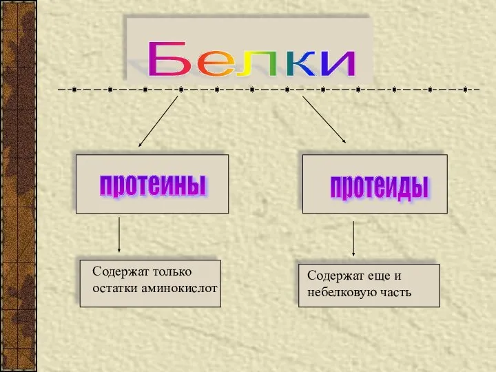 Белки протеины протеиды Содержат только остатки аминокислот Содержат еще и небелковую часть