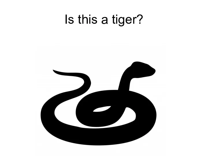 Is this a tiger?