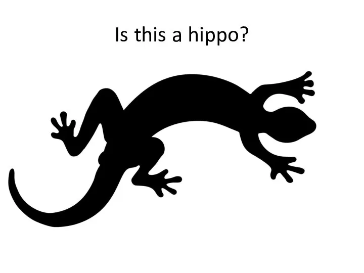 Is this a hippo?