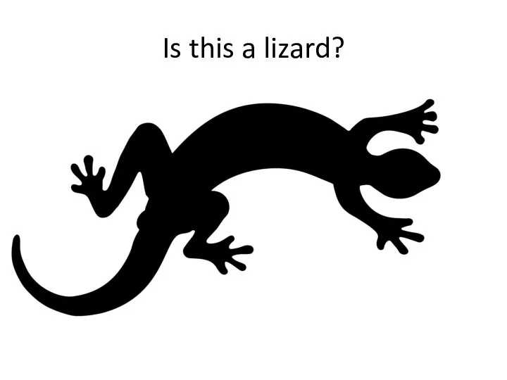 Is this a lizard?
