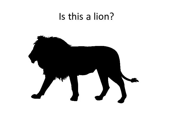 Is this a lion?