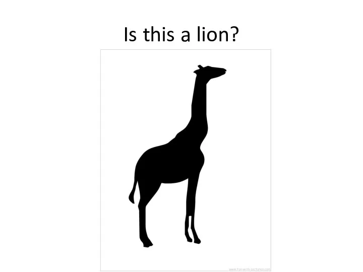 Is this a lion?
