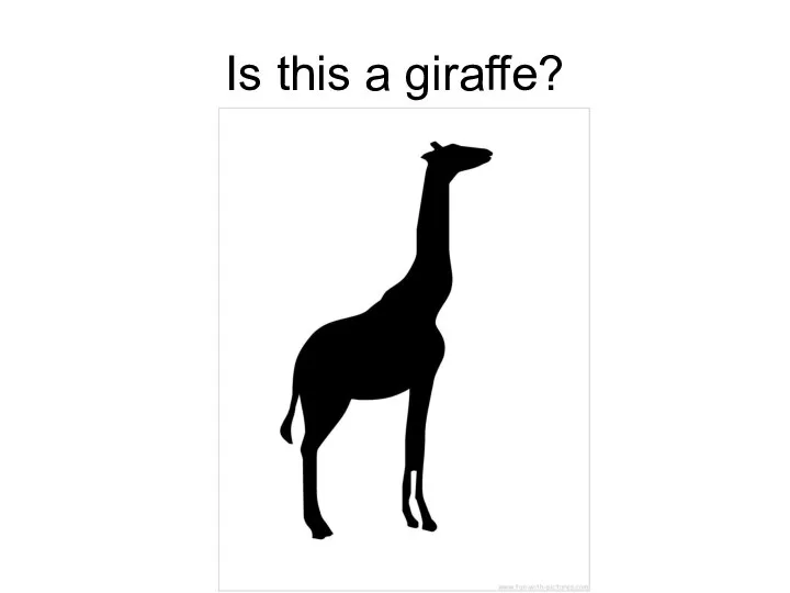 Is this a giraffe?
