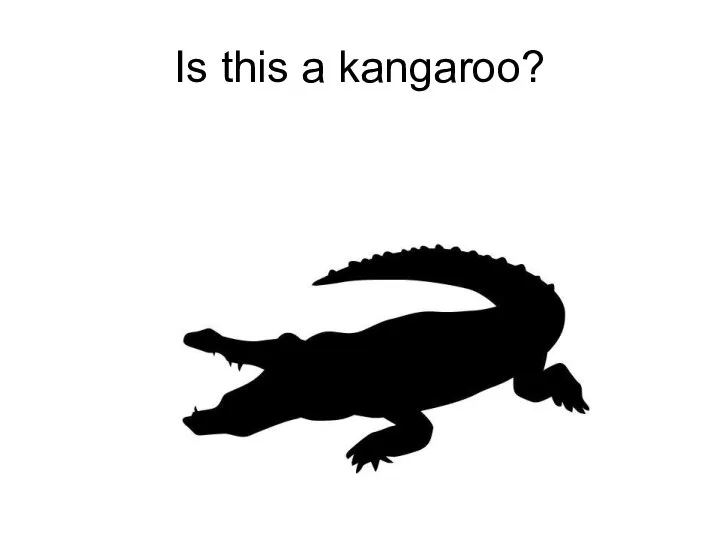 Is this a kangaroo?