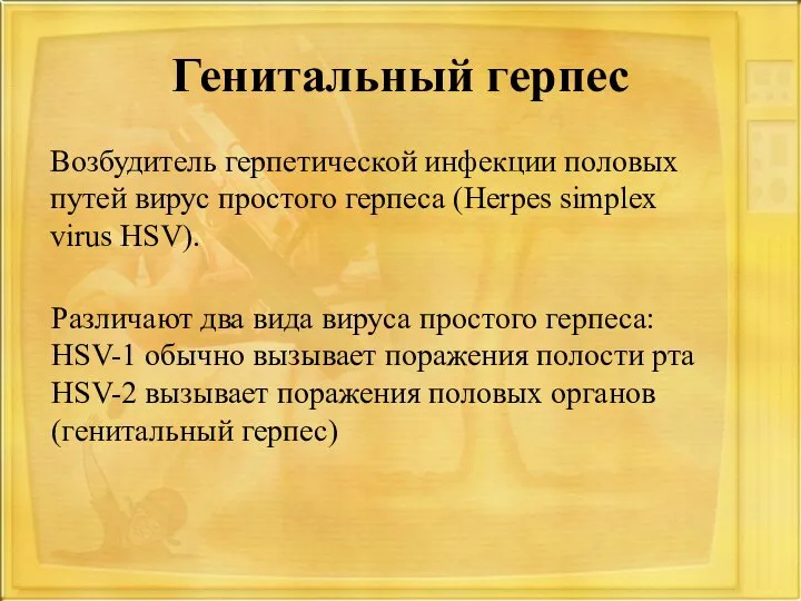 Генитальный герпес Возбудитель герпетической инфекции половых путей вирус простого герпеса (Herpes simplex